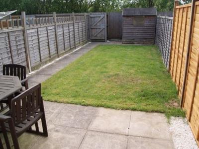 Picture 5